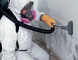 Best Mold Damage Restoration in Dovesville, SC